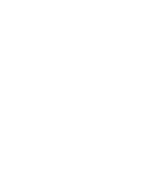 ライトシップの会社情報